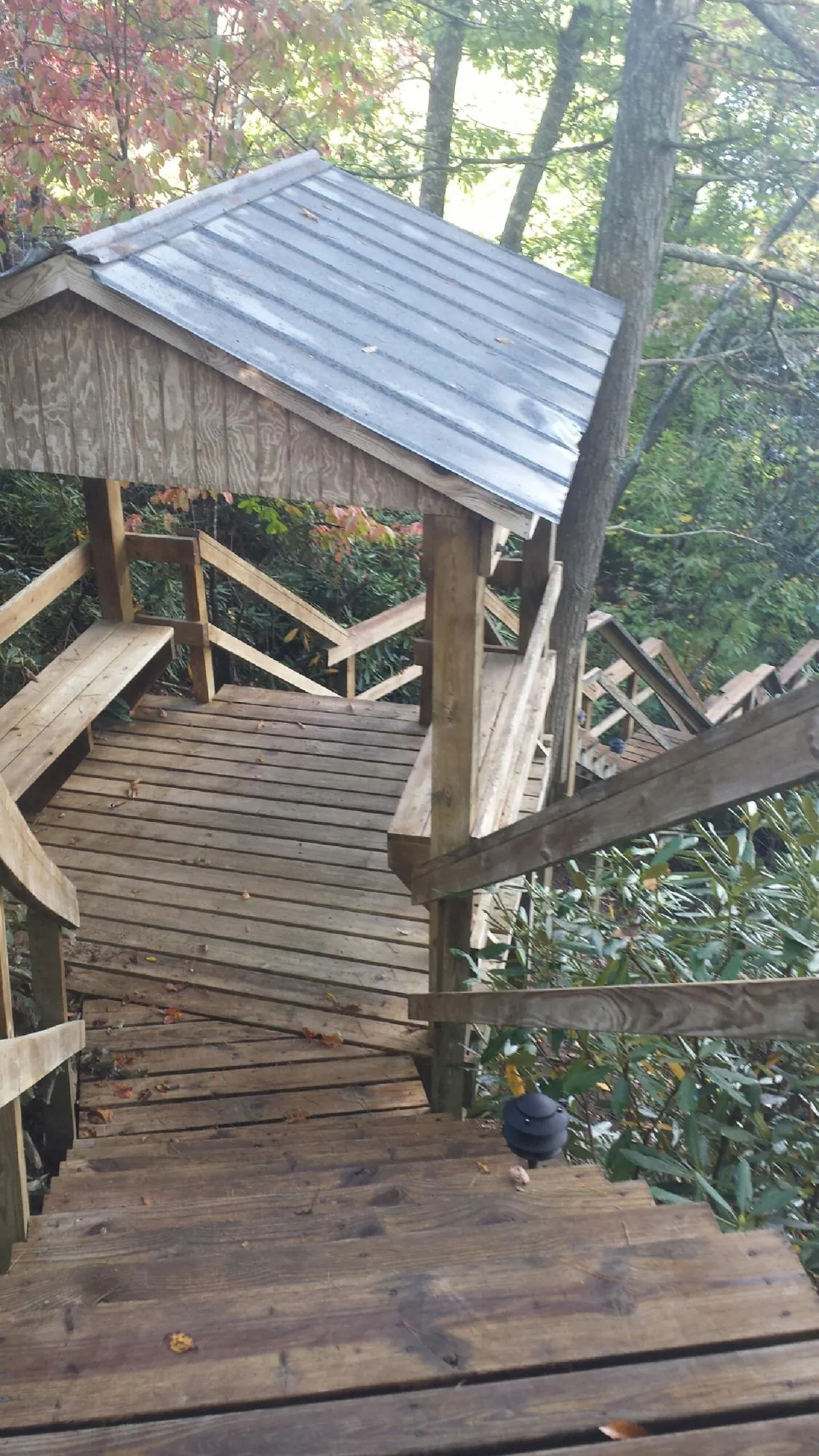 Metal roofed shelter over wooden steps on a wooded walkway — Skylight Repair & Installation work by our crew in Chehalis